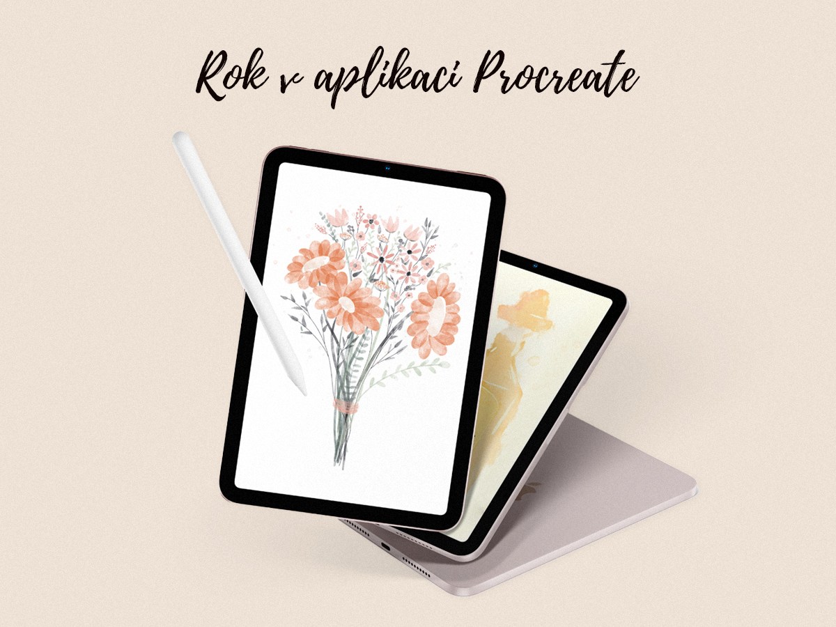 Jeden rok v aplikaci&nbsp;Procreate